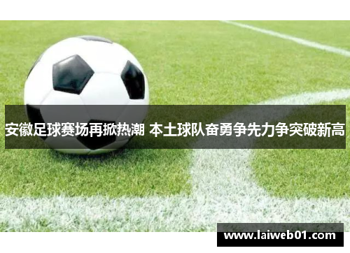 安徽足球赛场再掀热潮 本土球队奋勇争先力争突破新高